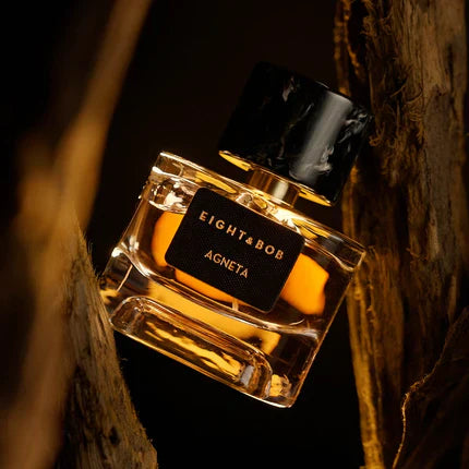 The architect of memories: Pierre Gueros and the genesis of Agneta