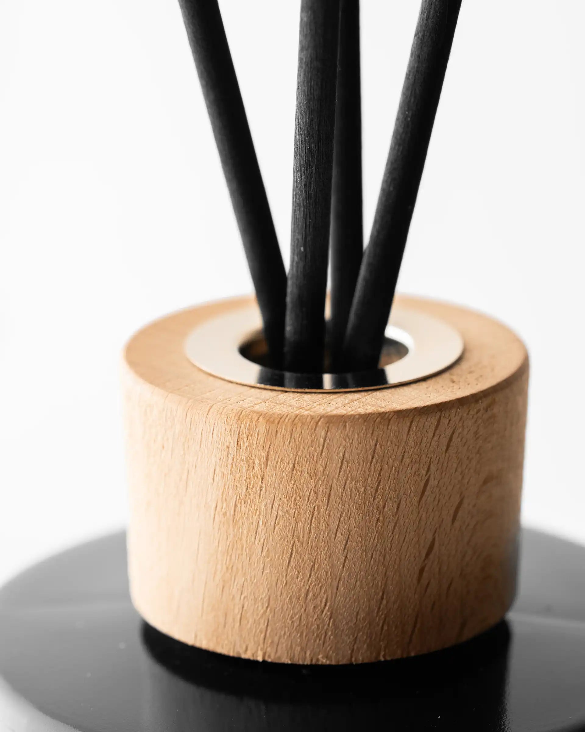 DIFFUSER LORD HOWE – MER DE TASMAN